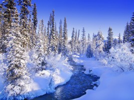 Nature Winter Wallpaper10